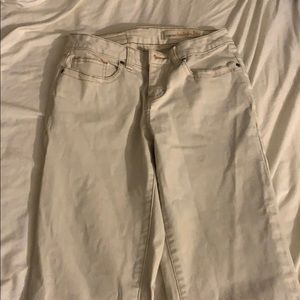 Christopher blue cream pants